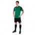 Форма футбольная Joma PHOENIX 102741-451 XS-2XL зеленый-черный