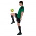 Форма футбольная Joma PHOENIX 102741-451 XS-2XL зеленый-черный