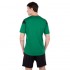 Форма футбольная Joma PHOENIX 102741-451 XS-2XL зеленый-черный