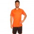 Форма футбольная Lingo LD-5022 M-3XL цвета в ассортименте