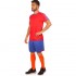 Форма футбольная Lingo LD-5023 M-3XL цвета в ассортименте