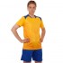 Форма футбольная Lingo LD-M8627 M-4XL цвета в ассортименте