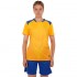 Форма футбольная Lingo LD-M8627 M-4XL цвета в ассортименте