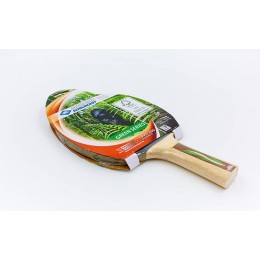 Профессиональные ракетки для настольного тенниса DONIC LEVEL 600 MT-734412 GREEN SERIES купить в Украине.