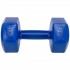 Гантель для фитнеса Zelart TA-4758-3 с PE покрытием 3 кг