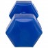 Гантель для фитнеса Zelart TA-4758-3 с PE покрытием 3 кг