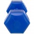 Гантель для фитнеса Zelart TA-4758-4 4кг с PE покрытием