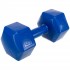 Гантель для фитнеса Zelart TA-4758-5 5кг с PE покрытием