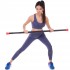 Бодибар Body Bar Zelart FI-1251-2 вес 2кг черный-красный