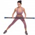 Бодибар Body Bar Zelart FI-1251-9 вес 9кг черный-синий