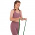 Резина петля для подтягиваний Sport Trade Fitness LINE FI-9584-5 (100-120кг), салатовая