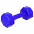 Гантели для фитнеса пластиковые Champion TA-9820-2 (2 шт по 2 кг)