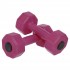 Гантели для фитнеса пластиковые Champion TA-9820-2 (2 шт по 2 кг)