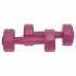 Гантели для фитнеса пластиковые Champion TA-9820-2 (2 шт по 2 кг)