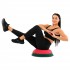 Балансировочная платформа полусфера BOSU с эспандерами BOSU BLOOM BALANCE TRAINER LB7052