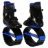 Профессиональные фитнес джамперы Sport Trade Kangoo Jumps SK-4571