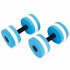 Гантель Aqua Dumbbell Napredele PL-3351