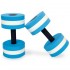 Гантель Aqua Dumbbell Napredele PL-3351