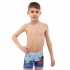 Плавки боксеры Napredele PL-3002 для мальчиков 3-6 лет Плавки боксеры Napredele PL-3002 для мальчиков 3-6 лет