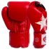 Перчатки боксерские кожаные FAIRTEX BGV1N NATION PRINT 10-16 унций цвета в ассортименте