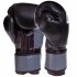 Перчатки боксерские UFC Boxing UBCF-75605 10 унций черный