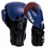 Перчатки боксерские кожаные VNM Tiger Legend VL-2044 10-14 унций черный-синий-бордовый