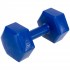 Гантель для фитнеса Zelart TA-4758-3 с PE покрытием 3 кг