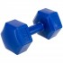 Гантель для фитнеса Zelart TA-4758-4 4кг с PE покрытием