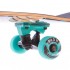 Скейтборд FISH CAPRICORN Sport Trade SK-414 подвеска в ассортименте