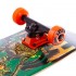 Скейтборд FISH CAPRICORN Sport Trade SK-414 подвеска в ассортименте