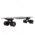 Скейтборд FISH Duckbill Sport Trade SK-418-5 черный