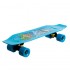 Скейтборд FISH Duckbill Sport Trade SK-418-6 голубой