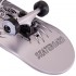 Скейтборд Sport Trade SK-805